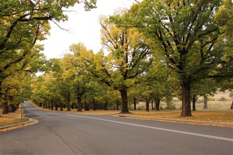 Best Accommodation in Armidale 